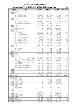 2013年度 収支計算書（予算対比）