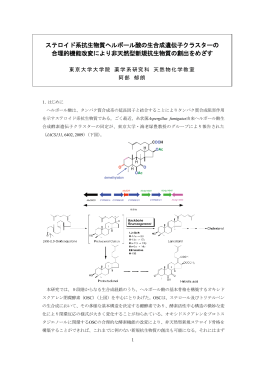 ステロイド系抗生物質ヘルボール酸の生合成遺伝子クラスターの 合理的