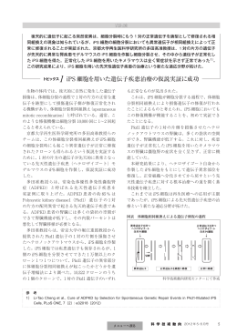 1 iPS 細胞を用いた遺伝子疾患治療の仮説実証に成功