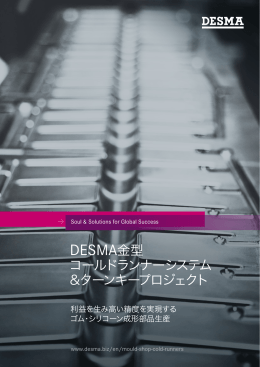 DESMA金型 コールドランナーシステム &ターンキープロジェクト