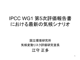 IPCC WG1 第5次評価報告書における最新の気候シナリオ（0.57 MB）