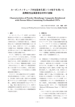 カーボンナノチューブ内包型多孔質シリカ粒子を用いた 高機能性金属基
