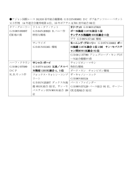 アジャン国際レース 10,510 羽中総合優勝鳩 GB13N85881 DC ボブ