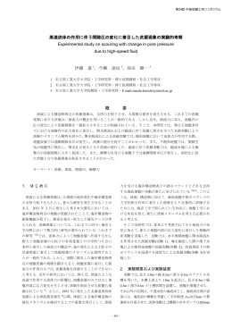 高速流体の作用に伴う間隙圧の変化に着目した洗掘現象の実験的考察