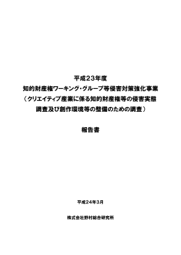 平成23年度 知的財産権ワーキング・グループ等侵害対策