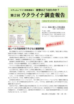 第2回ウクライナ調査報告