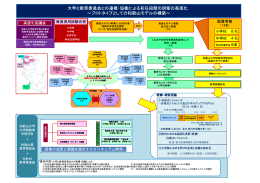 大学と教育委員会との連携・協働による初任段階の研修の高度化