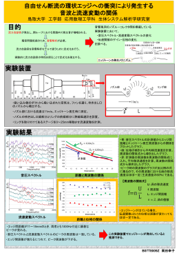 岡田幸子(PDF - 応用数理工学科
