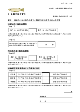 第9回のレポートカバー1