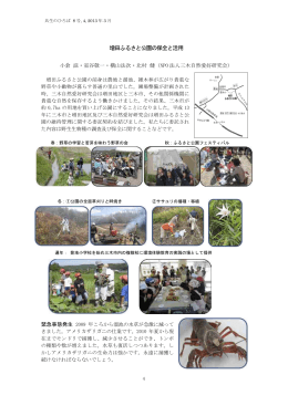 増田ふるさと公園の保全と活用