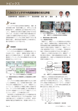 エネルギア総研レビュー(vol.26) 7.2kVスイッチギヤ内部絶縁物の劣化評価