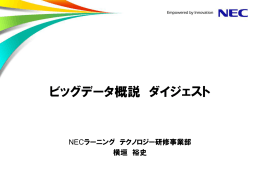 ビッグデータ概説 ダイジェスト - NECマネジメントパートナー 研修サービス