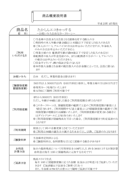 商品概要説明書【PDF】