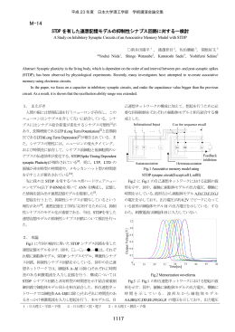 新井田陽平 - 日本大学理工学部