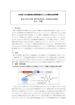 糸状菌二次代謝産物合成酵素遺伝子による物質生産系構築 東京大学