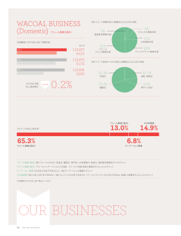 OUR BUSINESSES