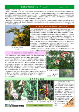2015/02/28更新『夢の島熱帯植物館 ニュース vol.25』