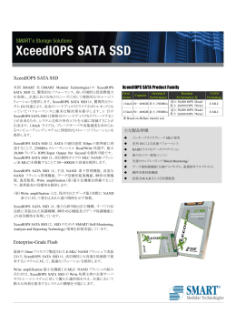 XceedIOPS SATA SSD Enterprise