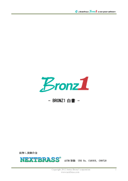 BRONZ1 白書 - nextbrass