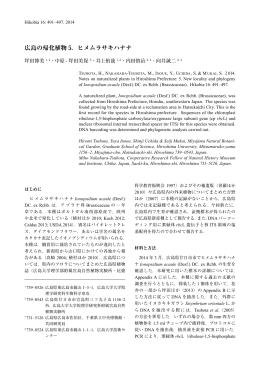 広島の帰化植物 5．ヒメムラサキハナナ - Hiroshima University