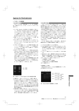 「遺伝子工学用試薬カタログ，449-450（2013）」(PDF