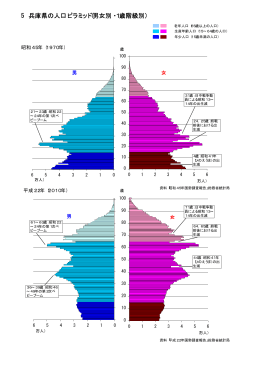 5 兵庫県の人口ピラミッド(男女別・1歳階級別）