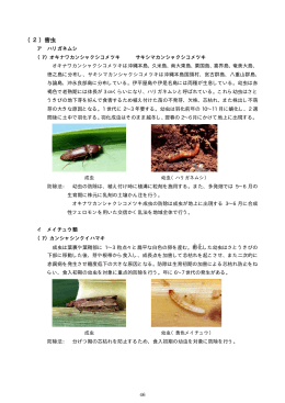 06 5病害虫防除(2)（PDF：3332KB）