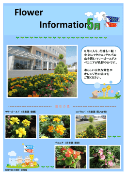 2014/5/13 フラワーインフォメーションについて