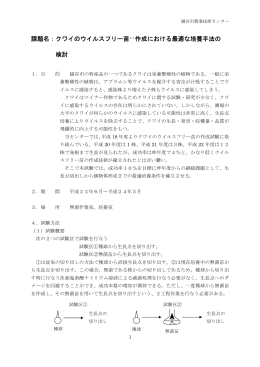 課題名：クワイのウイルスフリー苗＊1作成における最適な培養