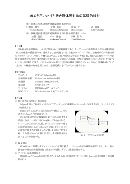 MLCを用いた打ち抜き原体照射法の基礎的検討