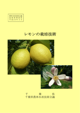 レモンの栽培技術（PDF：1491KB）