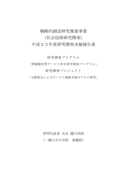 平成23年度研究開発実施報告書