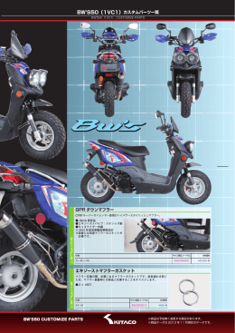 BW`S50（1VC1）カスタムパーツ一覧 GPR ダウンマフラー