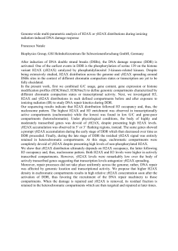 Genome-wide multi-parametric analysis of H2AX or &gamma;H2AX