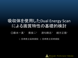 吸収体を使用したDual Energy Scan による画質特性の基礎的検討