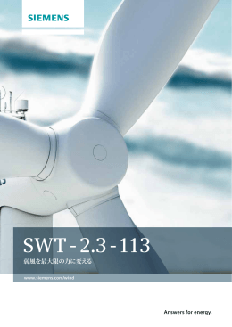 SWT - 2.3 - 113