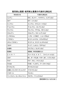 代表的な商品名について（PDF：4KB）