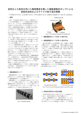 見る/開く - JAXA Repository / AIREX