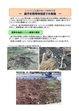 益子町西明寺地区 ←詳細はこちらをクリック（PDF：2819KB）