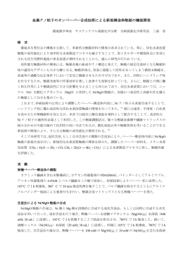 金属ナノ粒子のオンペーパー合成技術による新規構造体触媒の機能開発