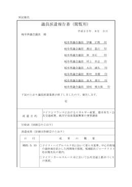 派遣報告書（PDF:90．7KB）