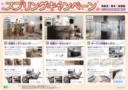 対面キッチンユニット 対面ローカウンター オープン対面キッチン