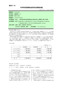 様式 C-19 科学研究費補助金研究成果報告書