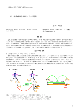 96. 細菌病原性抑制ペプチド創薬 加藤 明宣