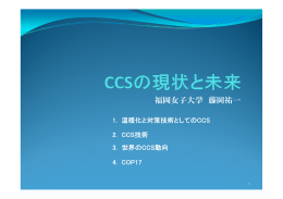 福岡女子大学 藤岡祐一