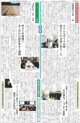 『ニュース専修』への寄稿「韓国で日本語教育実習」(ニュース