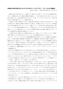 茨城県土浦市宍塚大池における 2014 年のアメリカザリガニ