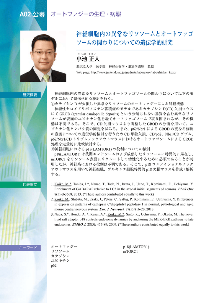 小池 正人 順天堂大学 医学部 教授