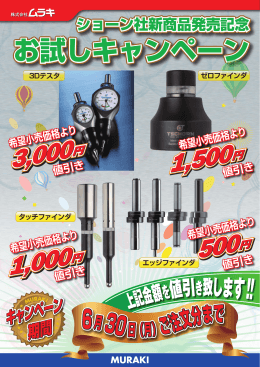 「お試しキャンペーン」ちらし