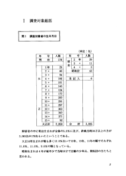 調査対象総括 その他（PDF・378KB）